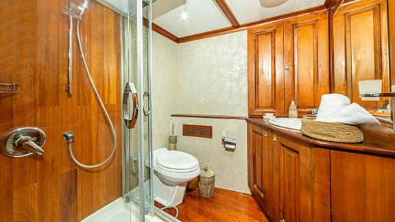 Luxurious bathroom with wooden shower, WC and stylish furnishings.